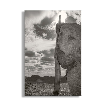 A black and white photograph of a tall, weathered rock formation with a thin, vertical trunk extending from the top of the rock. The rock formation is set against a backdrop of a cloudy sky and distant mountains, creating a striking contrast between the natural elements. Tucson Cactus Landscape | Ironwood Forest Arizona Sepia Wall Art Print