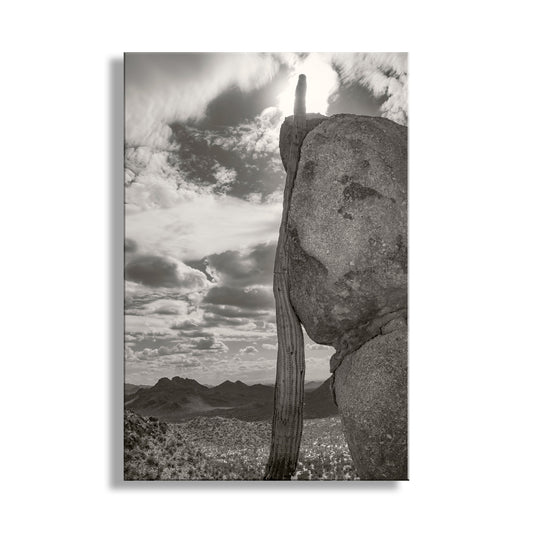 A black and white photograph of a tall, weathered rock formation with a thin, vertical trunk extending from the top of the rock. The rock formation is set against a backdrop of a cloudy sky and distant mountains, creating a striking contrast between the natural elements. Tucson Cactus Landscape | Ironwood Forest Arizona Sepia Wall Art Print
