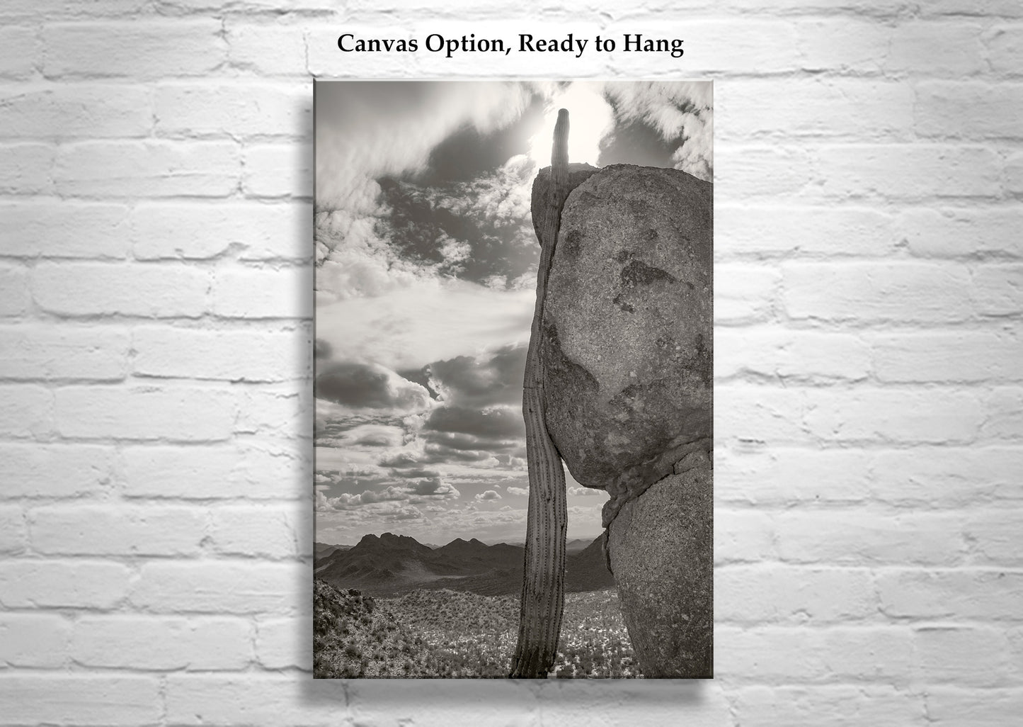 Tucson Cactus Landscape | Ironwood Forest Arizona Sepia Wall Art Print