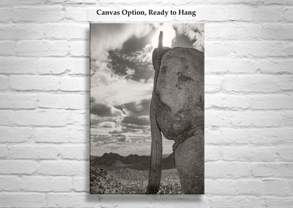 Tucson Cactus Landscape | Ironwood Forest Arizona Sepia Wall Art Print