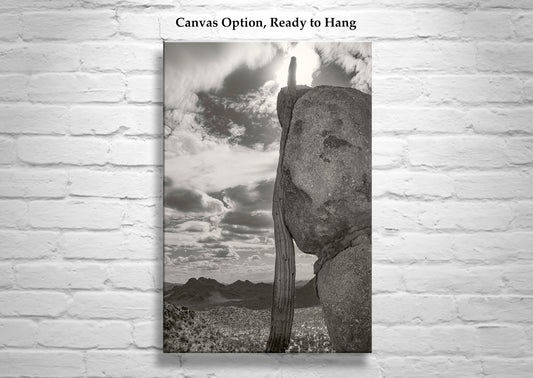 Tucson Cactus Landscape | Ironwood Forest Arizona Sepia Wall Art Print