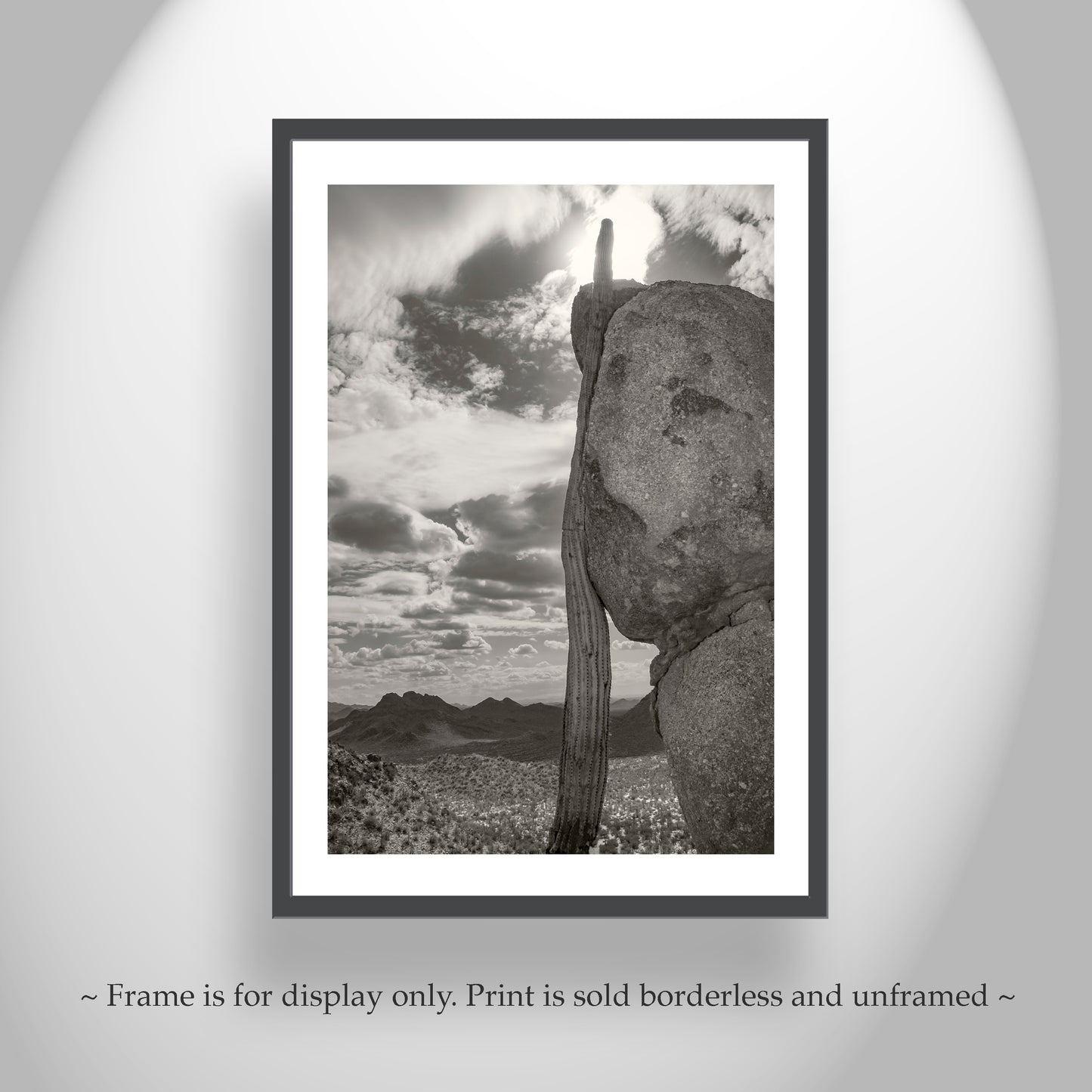 Tucson Cactus Landscape | Ironwood Forest Arizona Sepia Wall Art Print