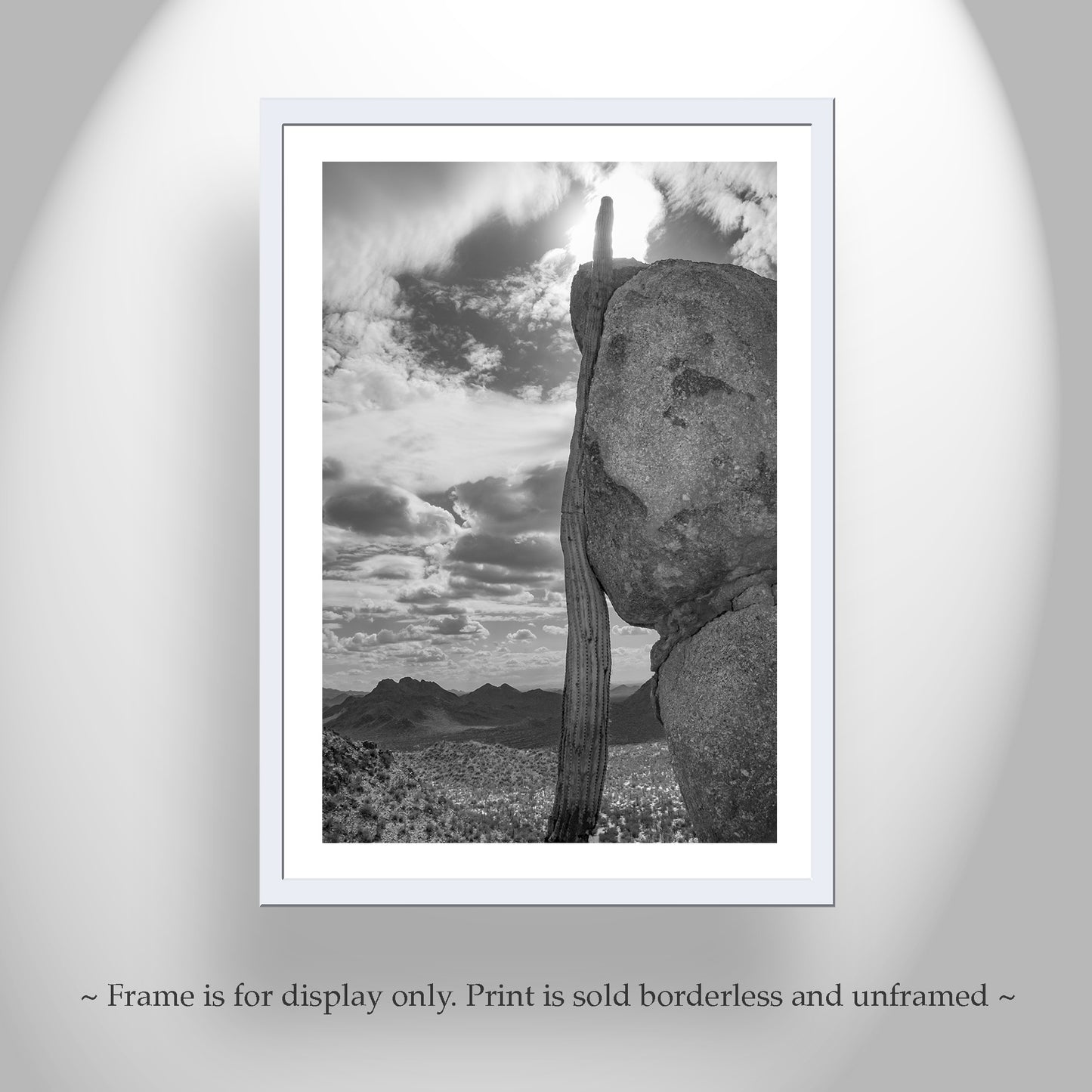 Tucson Cactus Landscape | Ironwood Forest Arizona Sepia Wall Art Print