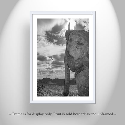 Tucson Cactus Landscape | Ironwood Forest Arizona Sepia Wall Art Print