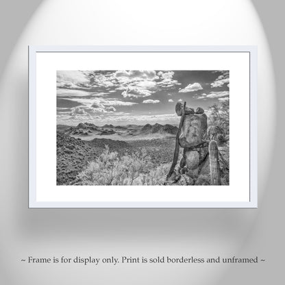Desert Sepia Landscape Art in Tucson Arizona For Sale