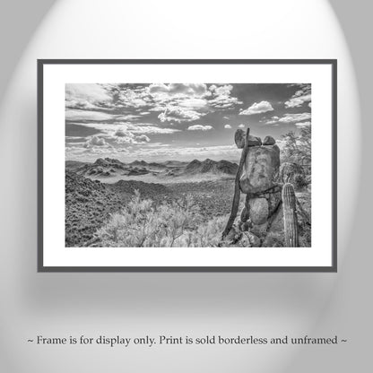 Desert Sepia Landscape Art in Tucson Arizona For Sale