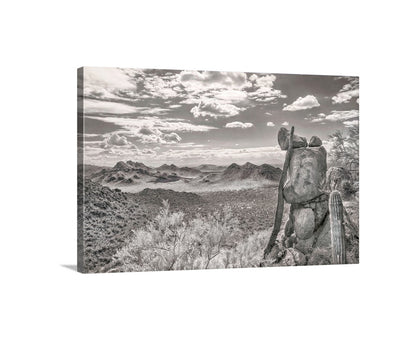 Desert Sepia Landscape Art in Tucson Arizona For Sale