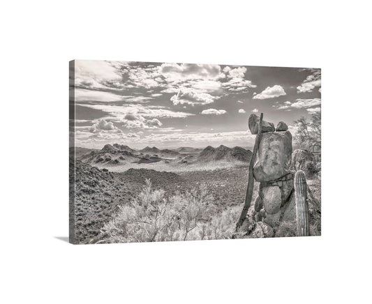 Desert Sepia Landscape Art in Tucson Arizona For Sale