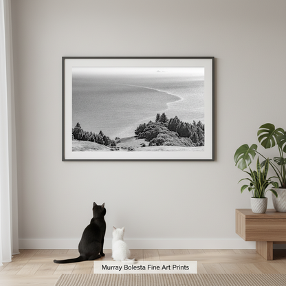 Farallons and Mt Tamalpais California by Murray Bolesta! A framed black and white landscape fine art print hangs on a light gray wall in a styled room. Below the print, a black cat sits beside a small white cat.