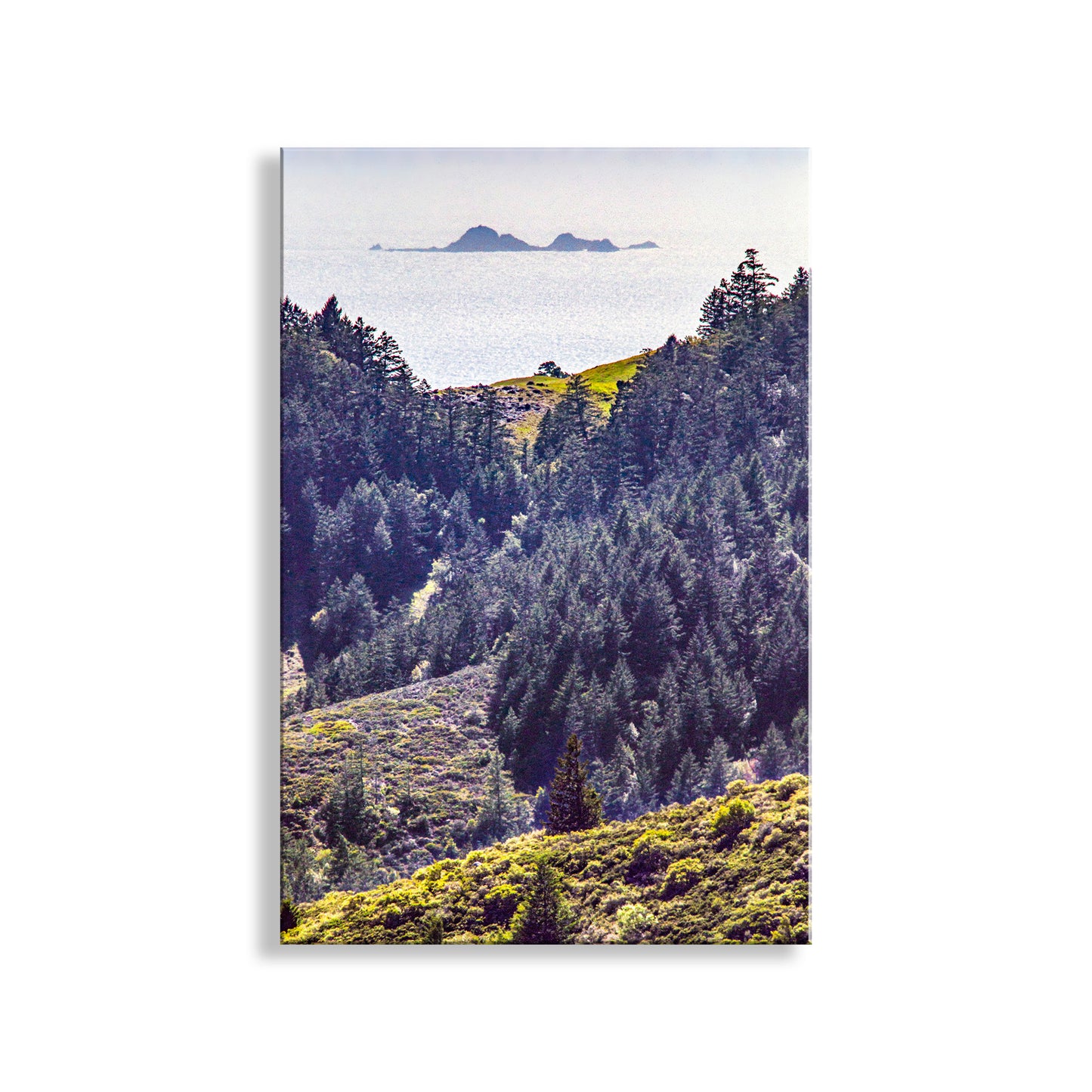 Scenic view of a mountainous landscape with trees and a distant island. My marvelous Marin County ocean photography for your pleasure: California's Farallon Islands float on the far horizon like a ship! I captured this image from Mt. Tamalpais on a splendid spring afternoon. Original, unique signed art by Murray Bolesta.