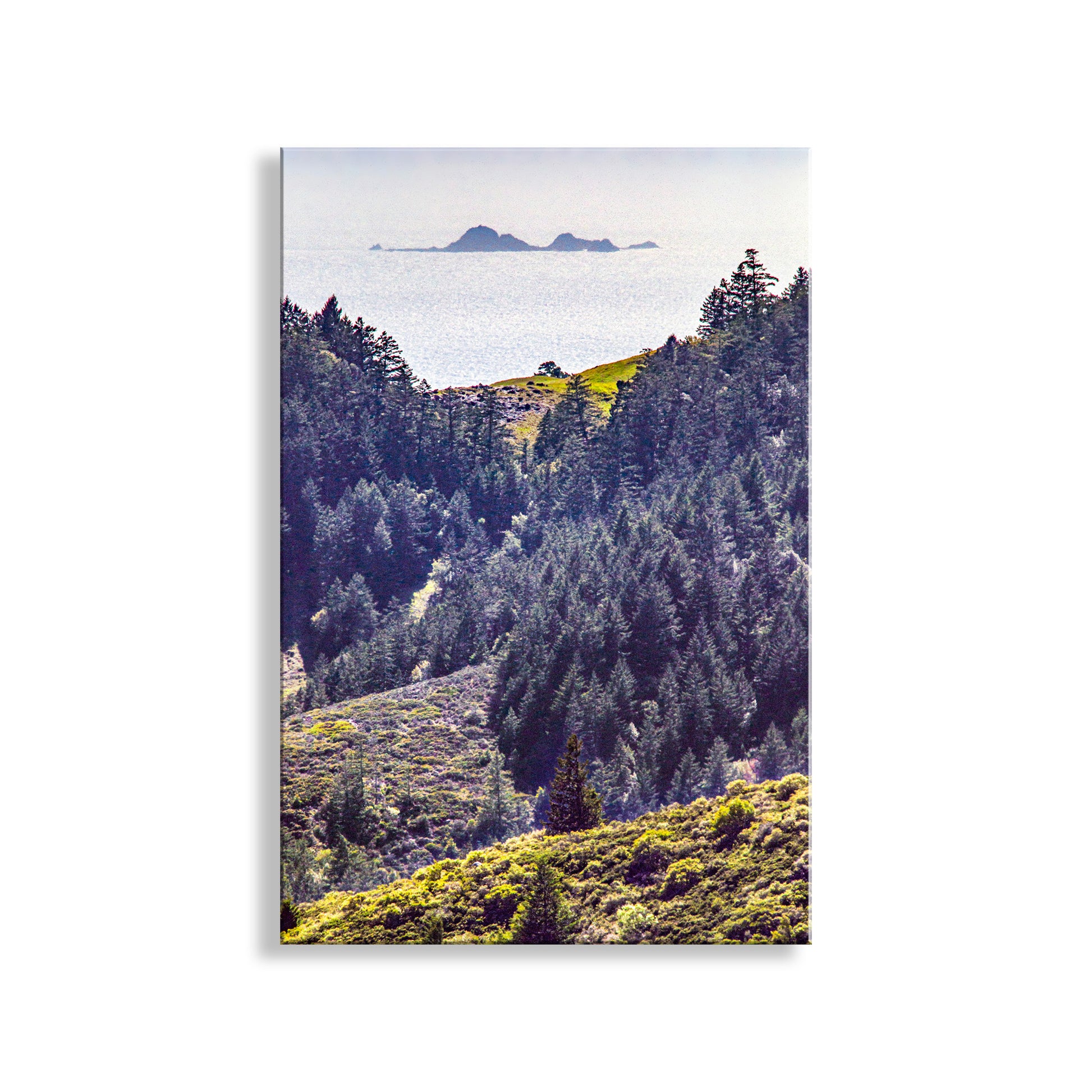 Scenic view of a mountainous landscape with trees and a distant island. My marvelous Marin County ocean photography for your pleasure: California's Farallon Islands float on the far horizon like a ship! I captured this image from Mt. Tamalpais on a splendid spring afternoon. Original, unique signed art by Murray Bolesta.