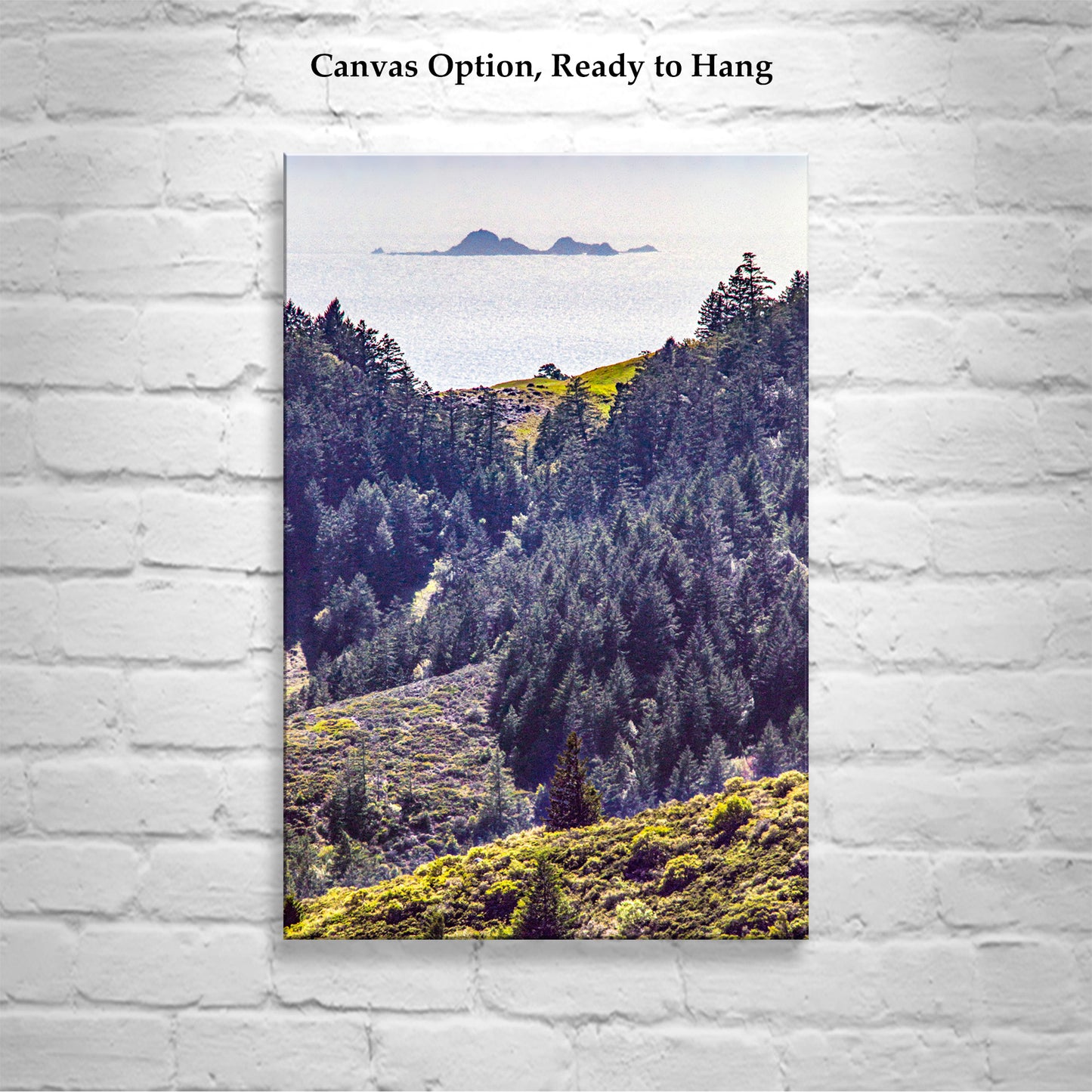 Mount Tamalpais Marin County Landscape Photograph with Farallon Islands