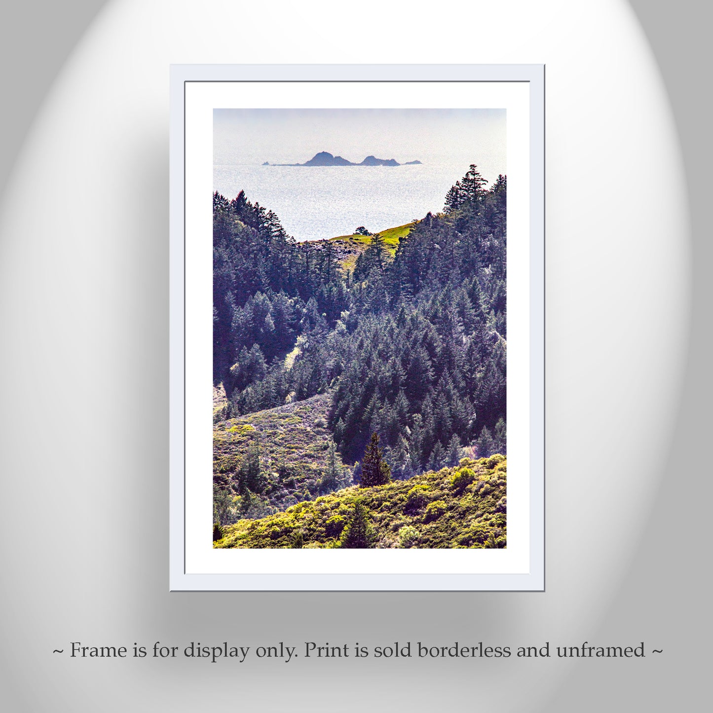 Mount Tamalpais Marin County Landscape Photograph with Farallon Islands