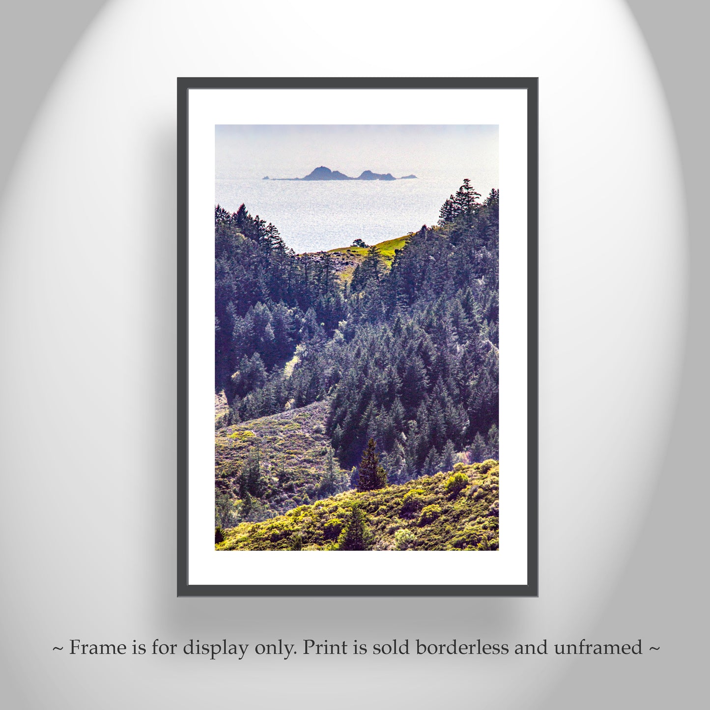 Mount Tamalpais Marin County Landscape Photograph with Farallon Islands