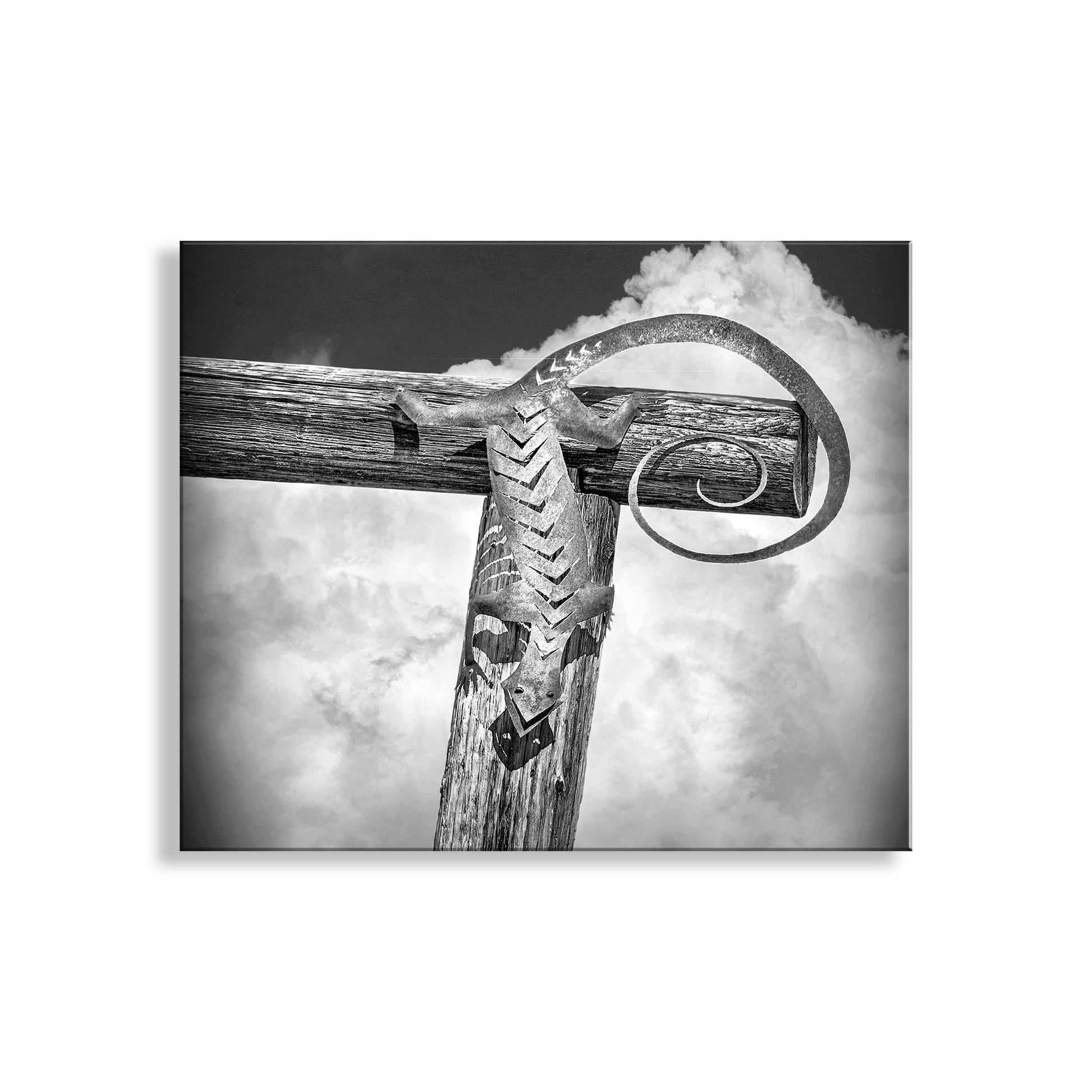 Black and white photo of a cross with snow on a cloudy sky background. Lizard Art in Black & White with Arizona Desert Ranch Fence