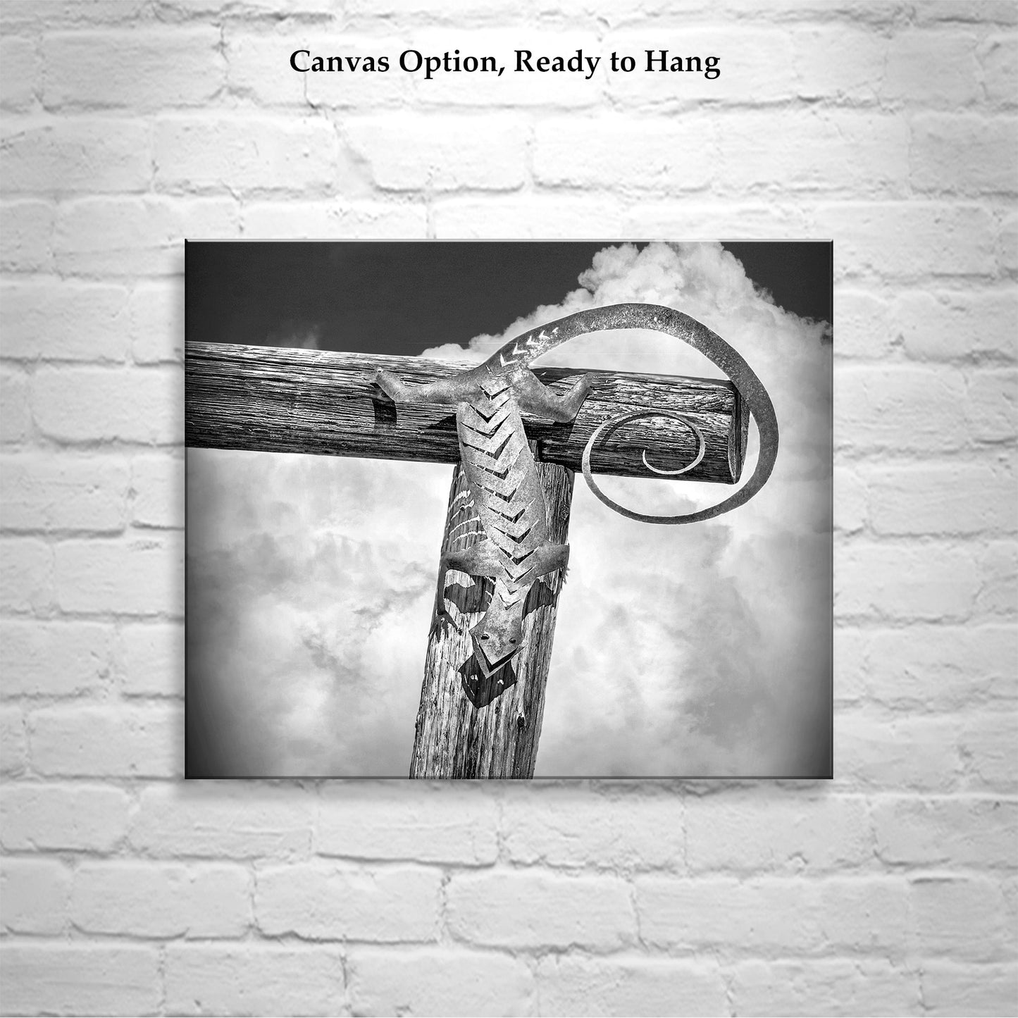 Lizard Art in Black & White with Arizona Desert Ranch Fence