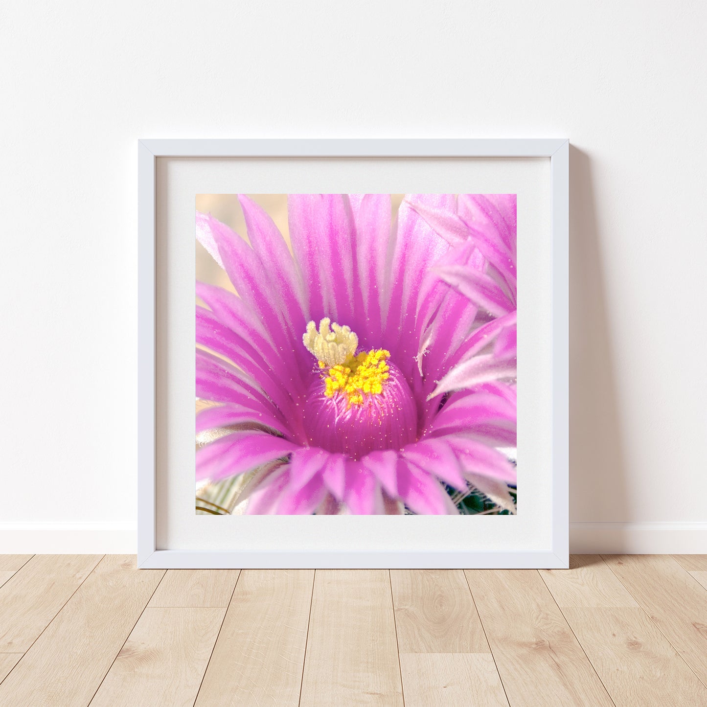 Pink Cactus Flower Art Print | Desert Botanical Photography