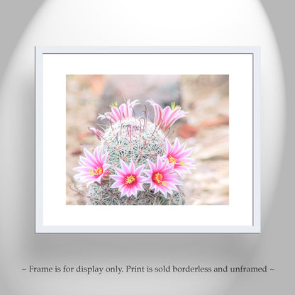 Pink Cactus Flower Photo | Southwestern Botanical Wall Decor