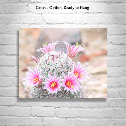 Pink Cactus Flower Photo | Southwestern Botanical Wall Decor