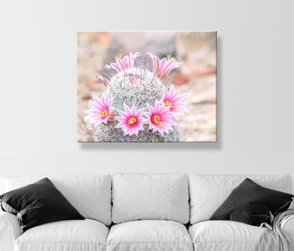 Pink Cactus Flower Photo | Southwestern Botanical Wall Decor