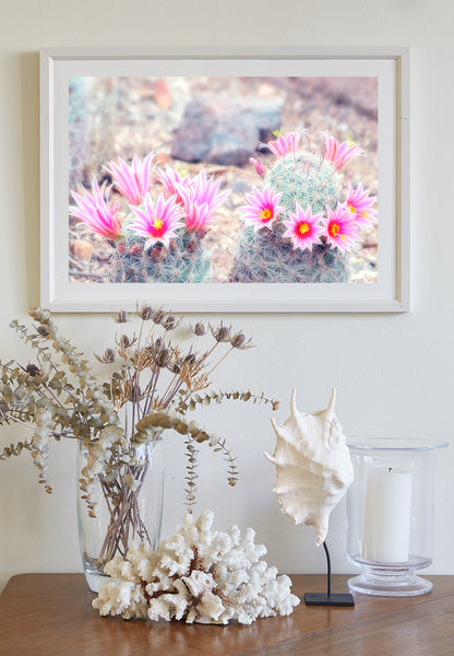 Pink Cactus Flower Art Print - Charming Arizona Botanical Decor