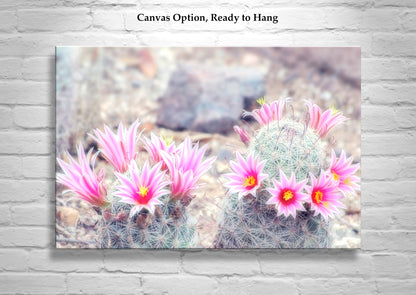 Pink Cactus Flower Art Print - Charming Arizona Botanical Decor