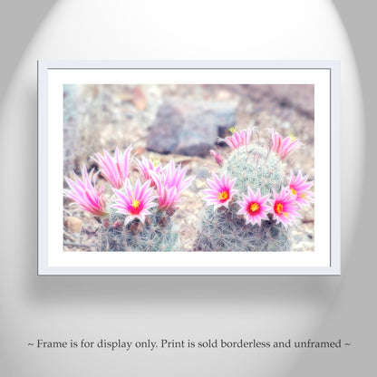 Pink Cactus Flower Art Print - Charming Arizona Botanical Decor