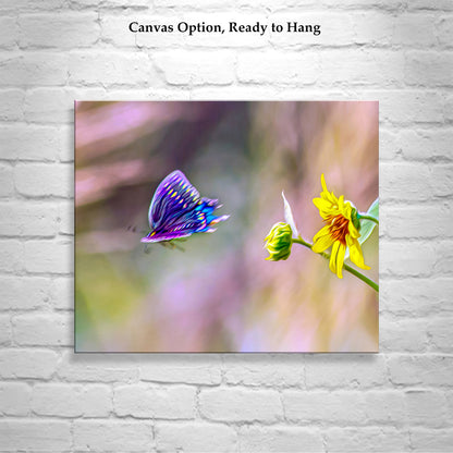 Sunflower Photograph with Swallowtail Butterfly in Flight