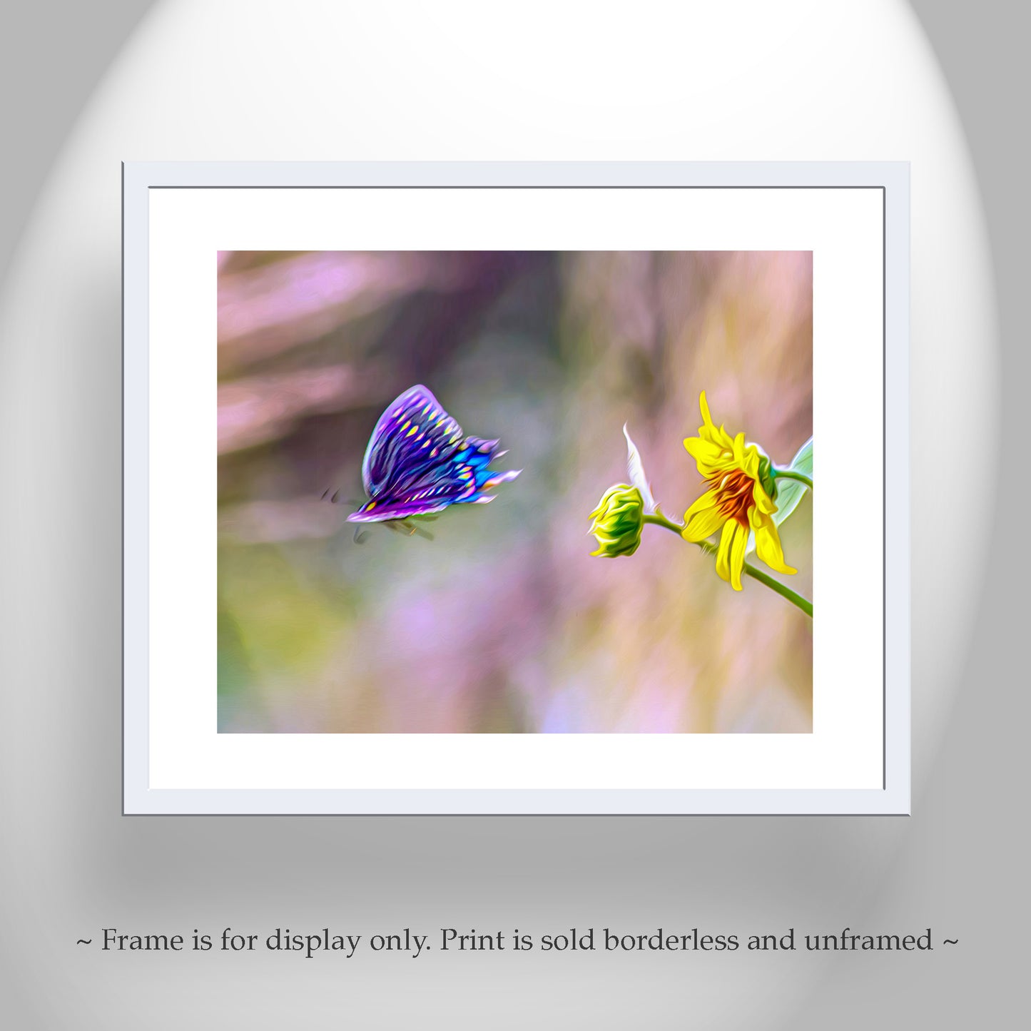 Sunflower Photograph with Swallowtail Butterfly in Flight