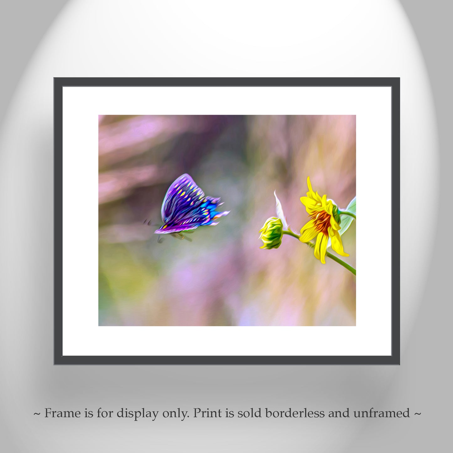 Sunflower Photograph with Swallowtail Butterfly in Flight