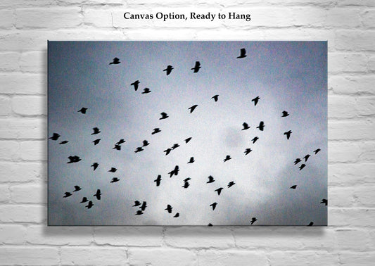 Flock of Birds in Flight Art Picture as Fine Art Surreal Nature Print