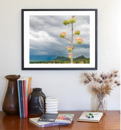 Desert Botanical Art | Arizona Century Plant Landscape Print