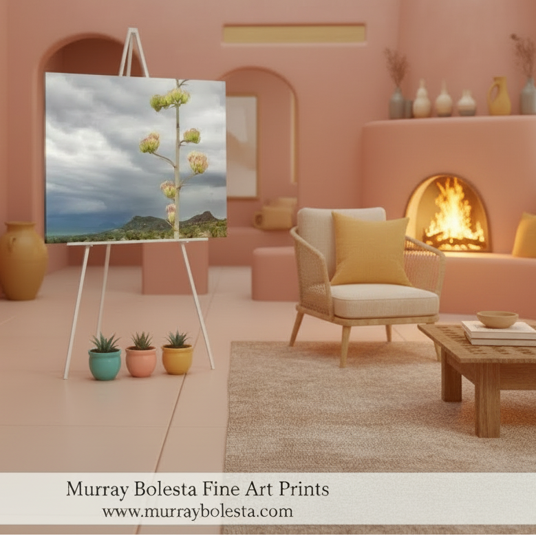 agave art by Murray Bolesta
