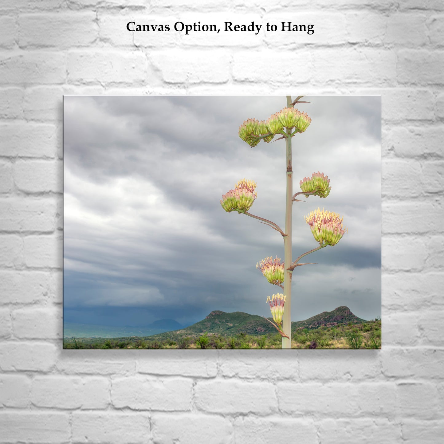 Desert Botanical Art Print with Arizona Century Plant Flowers