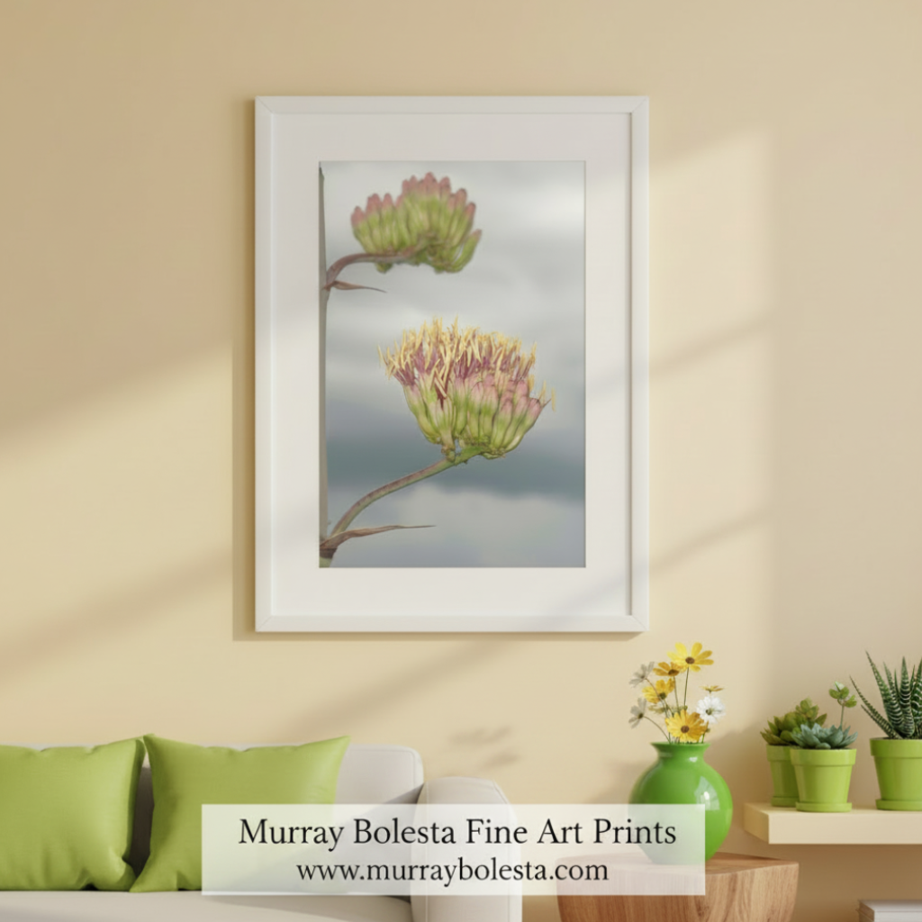 A framed botanical art print of two thistle-like flowers hanging on a beige wall above a sofa with green pillows. The print is shown in a white frame, with a banner at the bottom reading 'Murray Bolesta Fine Art Prints www.
