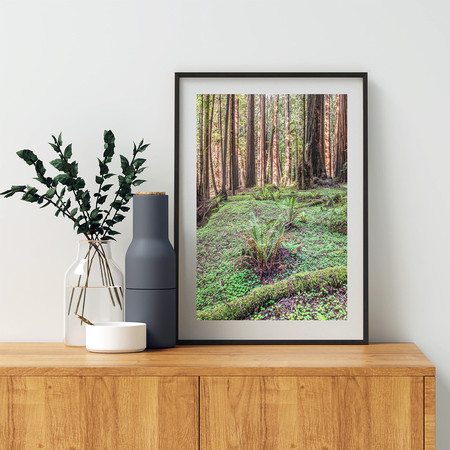 Redwood Forest Photography Print with Ferns - California Nature
