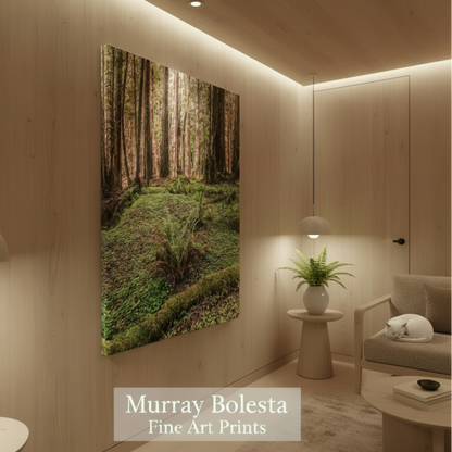 A vertical wall art print showing a forest floor scene with tall trees, moss, and ferns, displayed in a modern wood-paneled living room corner. Text at the bottom reads 'Murray Bolesta Fine Art Prints'.