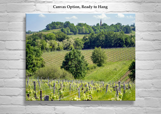 French Vineyard Photography Art Print at Bordeaux France