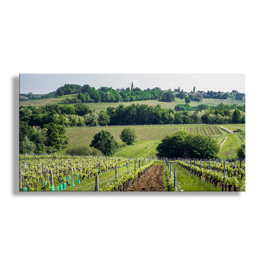 Bordeaux France Vineyard Landscape Art Panorama