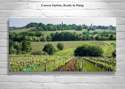Bordeaux France Vineyard Landscape Art Panorama