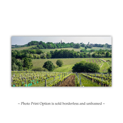 Bordeaux France Vineyard Landscape Art Panorama