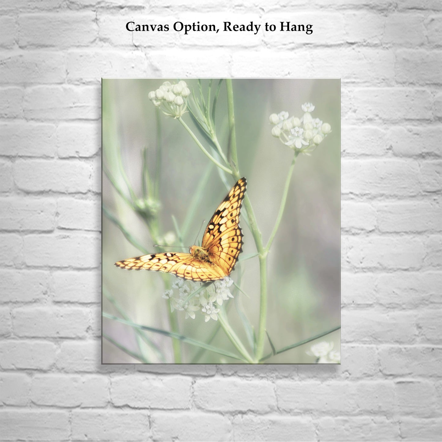 Golden Butterfly Picture as Fine Art Nature Photography