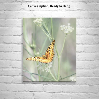 Golden Butterfly Picture as Fine Art Nature Photography