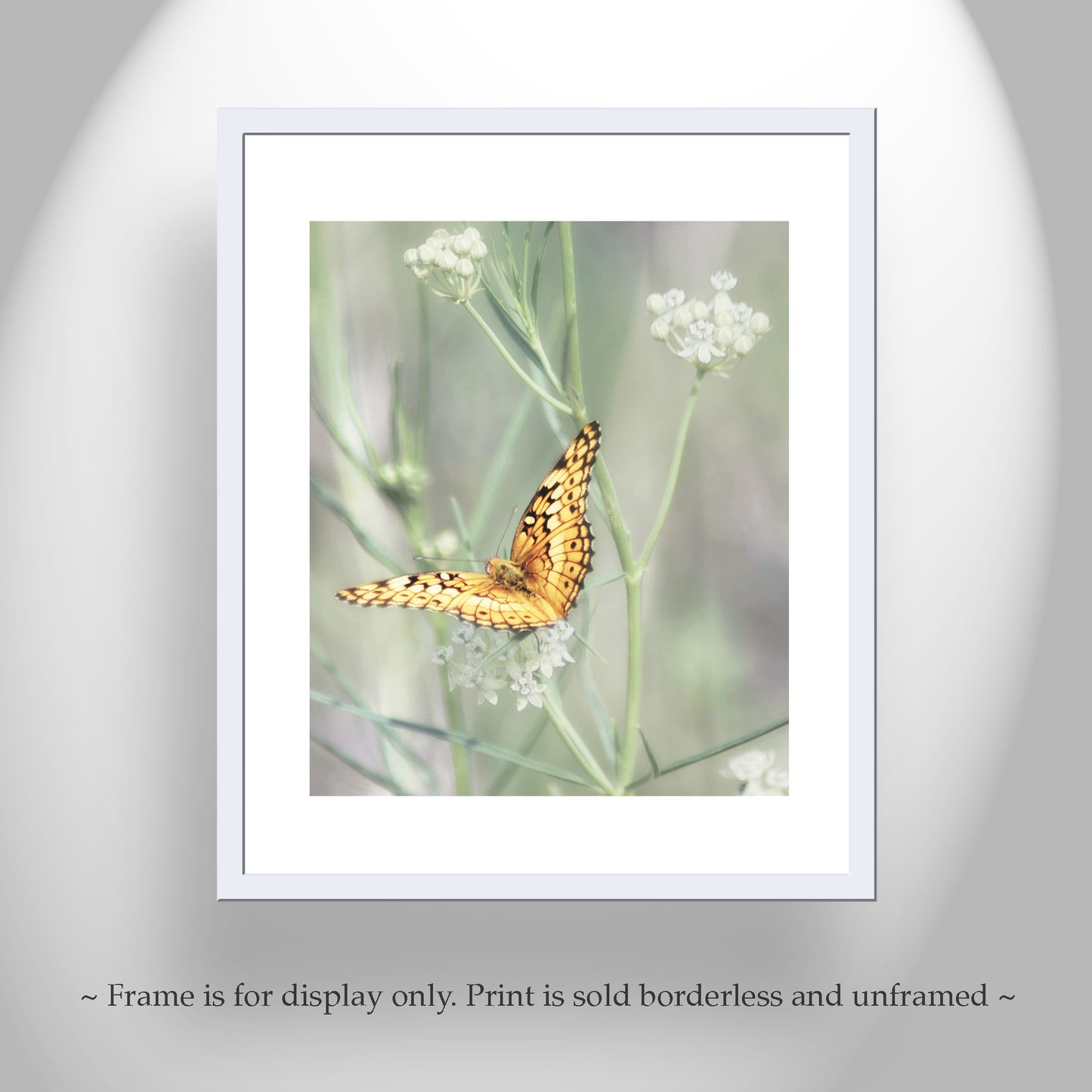 Golden Butterfly Picture as Fine Art Nature Photography