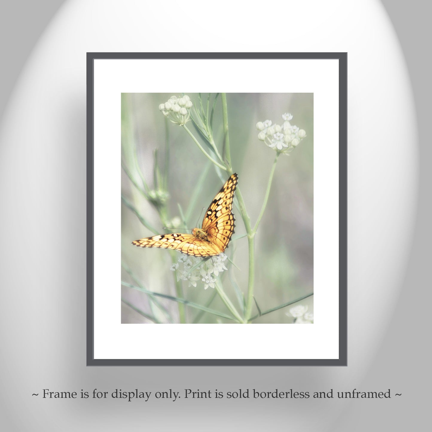 Golden Butterfly Picture as Fine Art Nature Photography