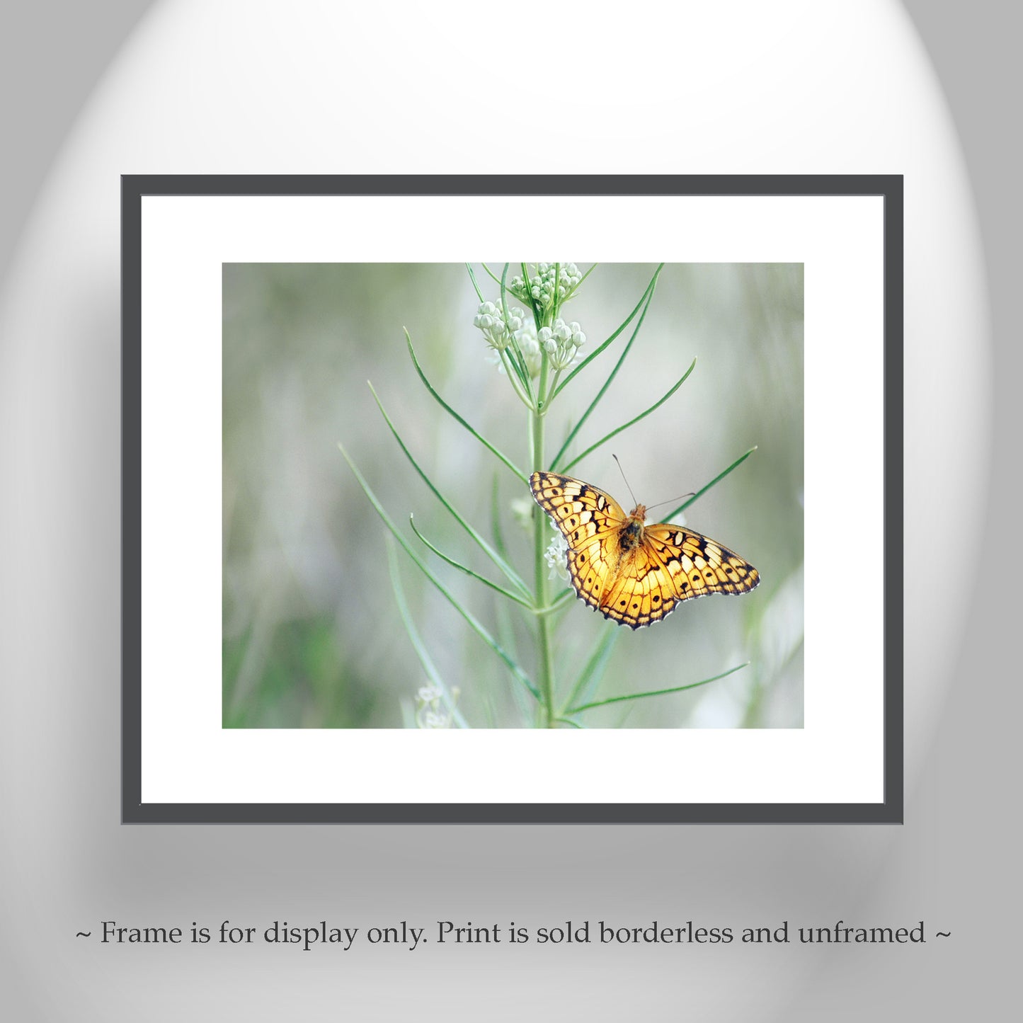 Golden Butterfly Wall Art on Photo Print or Mounted Canvas