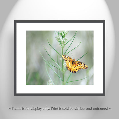 Golden Butterfly Wall Art on Photo Print or Mounted Canvas