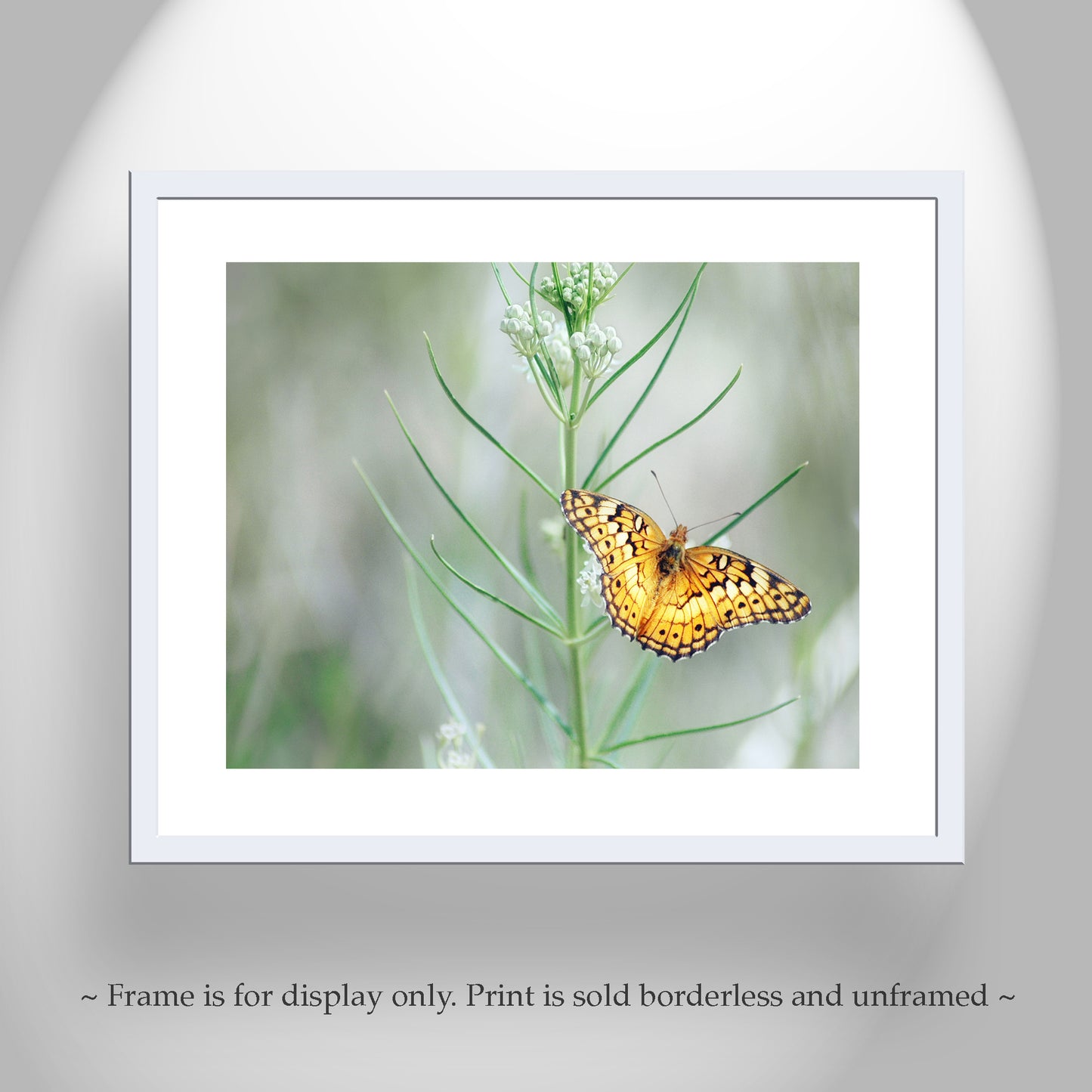 Golden Butterfly Wall Art on Photo Print or Mounted Canvas