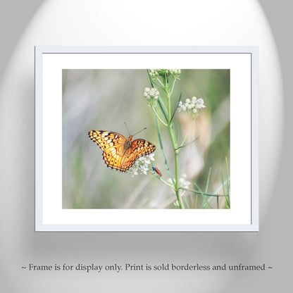 Butterfly Insect Art Photography with Tarantula Hawk Wasp as Elegant Nature Decor
