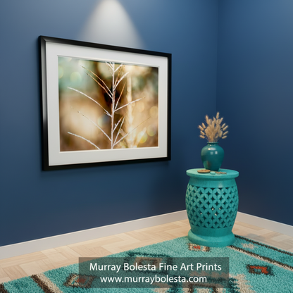 Frosty Grass by Murray Bolesta
